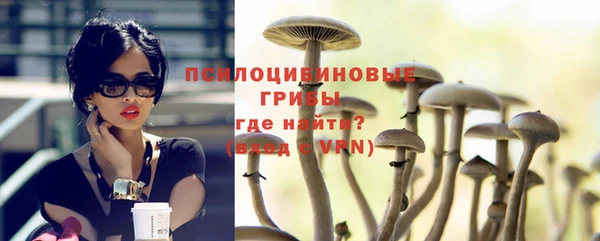 ГАЛЛЮЦИНОГЕННЫЕ ГРИБЫ Михайловск
