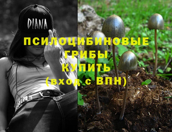 бутират Михайлов