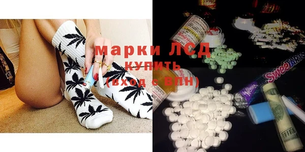 ПСИЛОЦИБИНОВЫЕ ГРИБЫ Михайловка
