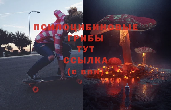ГАЛЛЮЦИНОГЕННЫЕ ГРИБЫ Михайловск