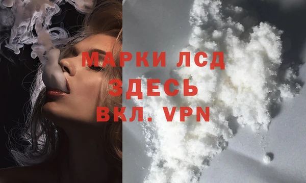 ПСИЛОЦИБИНОВЫЕ ГРИБЫ Михайловка