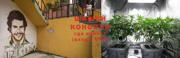 ПСИЛОЦИБИНОВЫЕ ГРИБЫ Михайловка